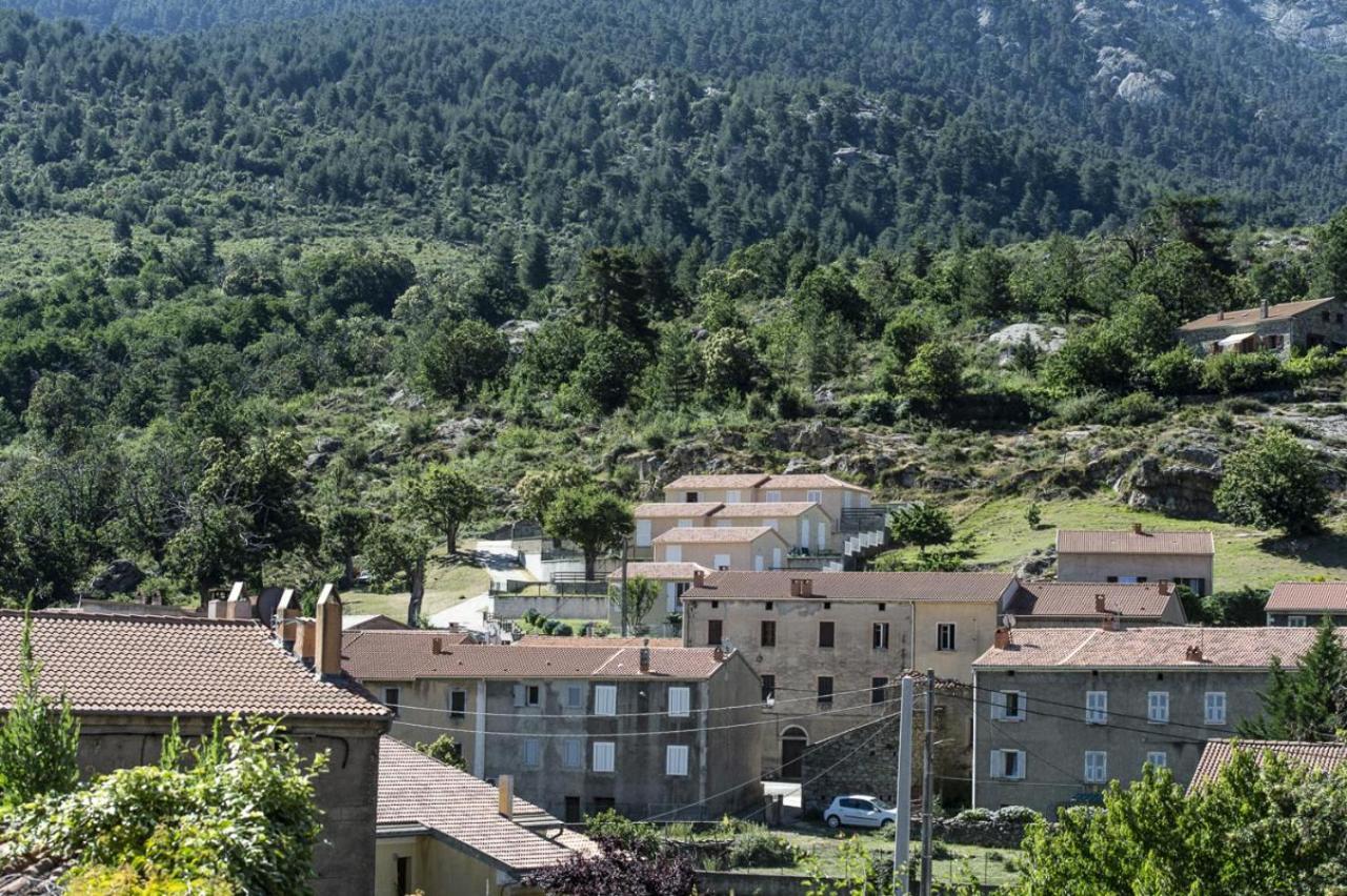 Terrasse De Malbeccu Villa Casamaccioli ภายนอก รูปภาพ